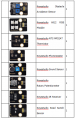 Thumbnail for version as of 15:39, 18 May 2022